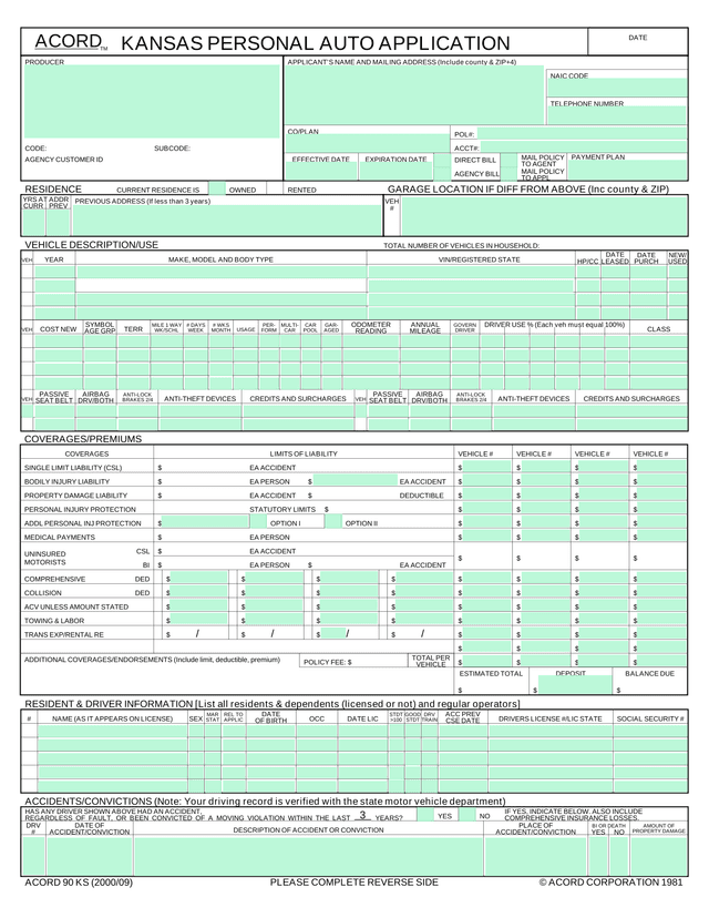 Auto Insurance Application Form screenshot