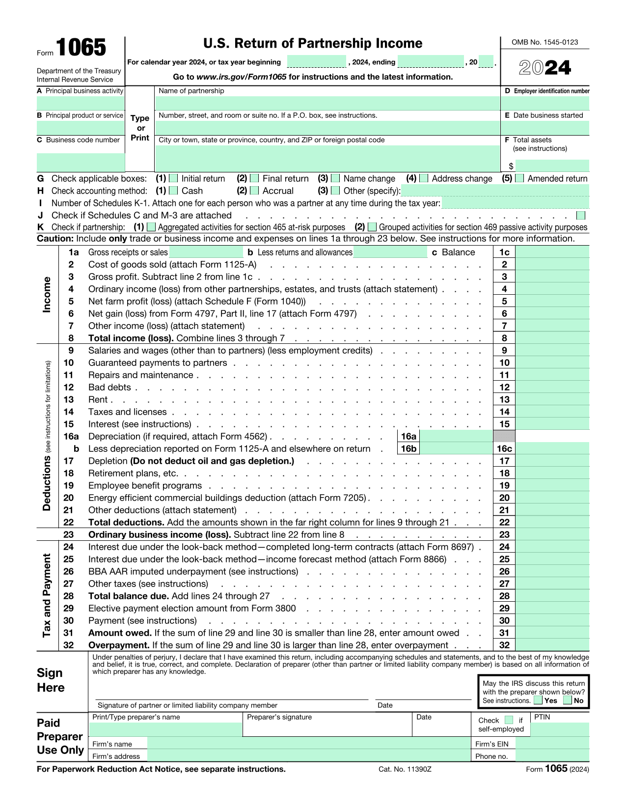 U.S. Return Of Partnership Income (Form 1065) screenshot